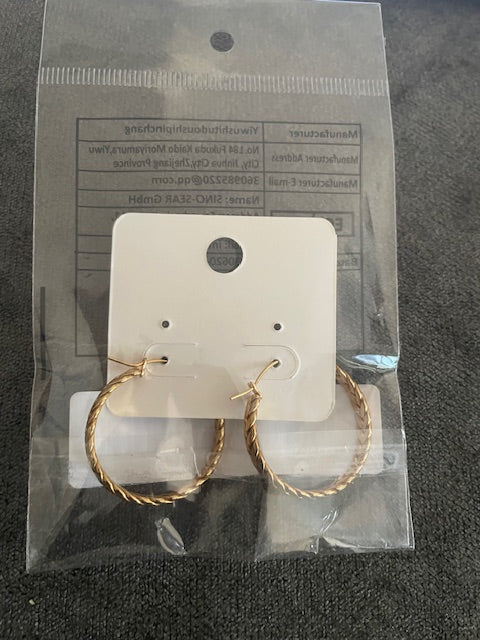 Stainless Steel Geometric Hoop Earrings